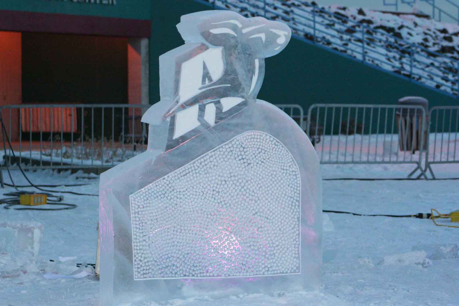IceZippy.jpg